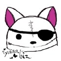 Pirate Cat
